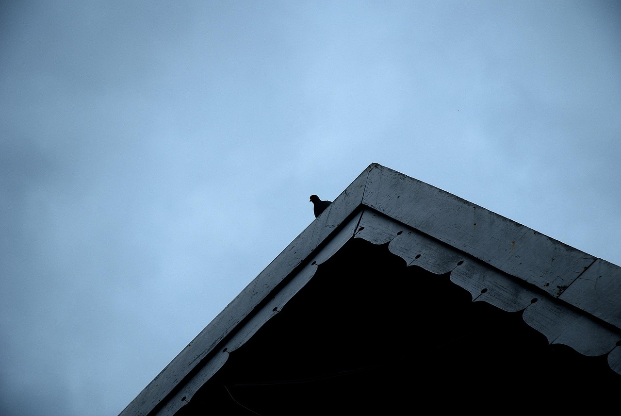 Search for Roofing Guide